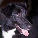 Tippy was adopted in January, 2007